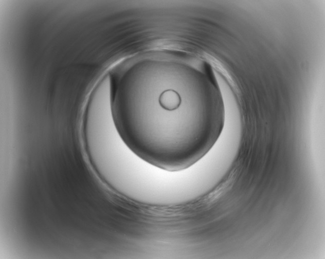 X0000088691434200706211919