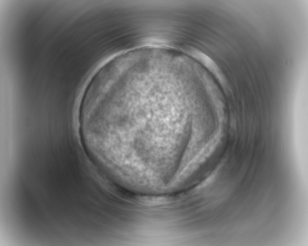 X0000088691435200706211919