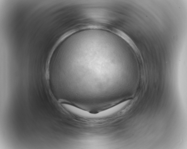 X0000088691436200706211919