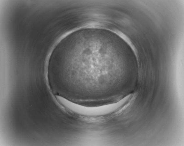 X0000088691437200706211919