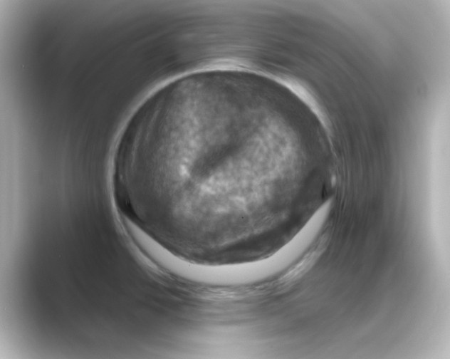 X0000088691438200706211919