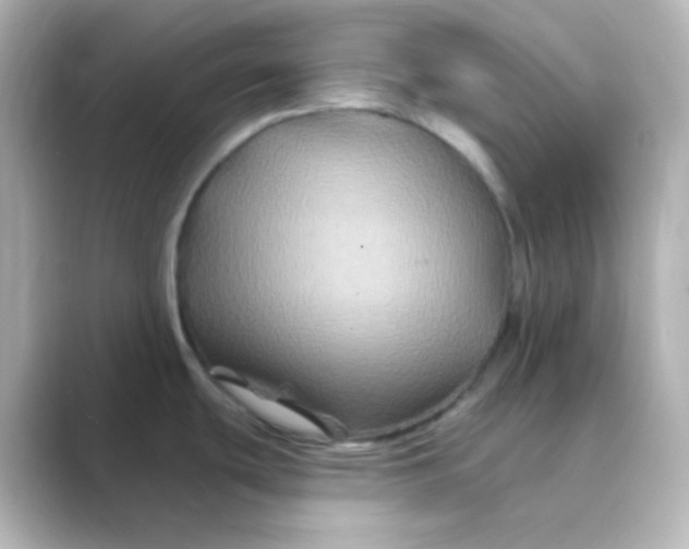 X0000088691439200706211919