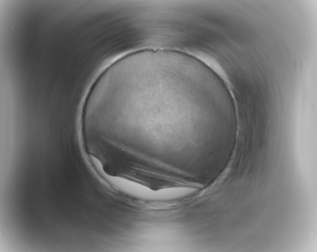 X0000088691440200706211919