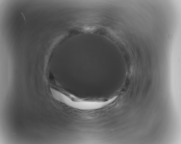 X0000088691441200706211918