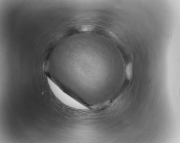X0000088691443200706211918