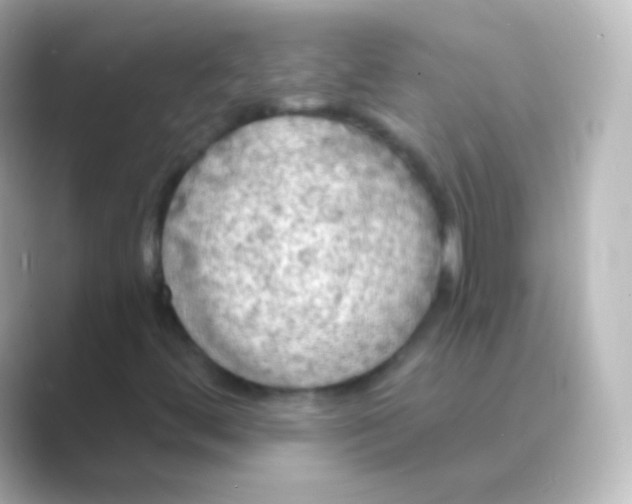 X0000088691444200706211918