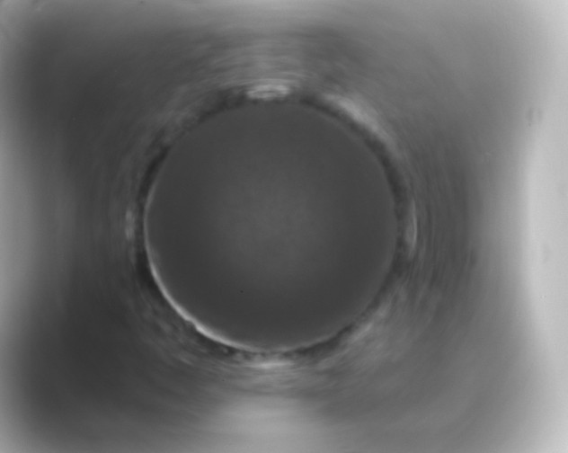 X0000088691445200706211918
