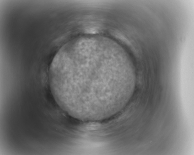 X0000088691446200706211918