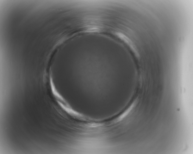 X0000088691449200706211918