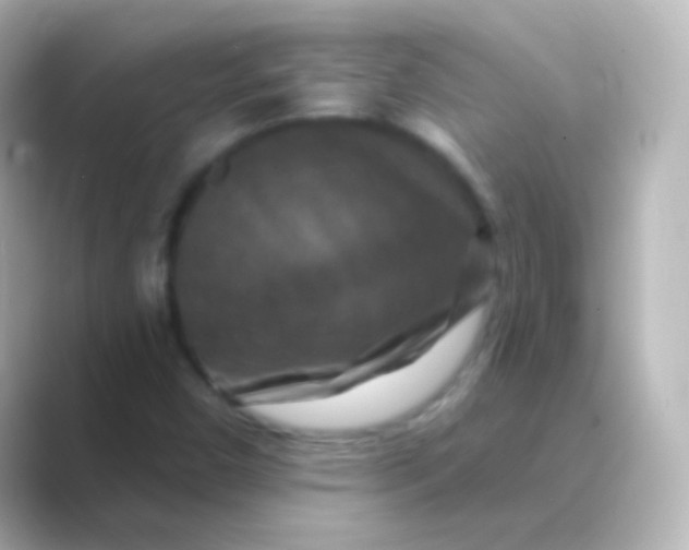 X0000088691450200706211918