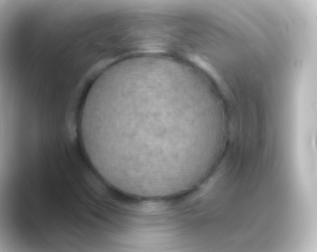 X0000088691451200706211918