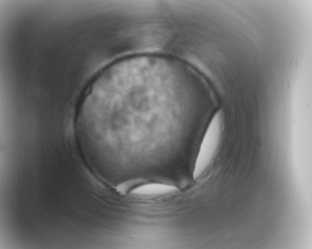 X0000088691452200706211918