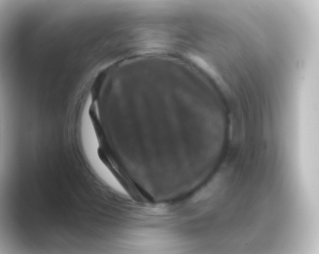 X0000088691453200706211918