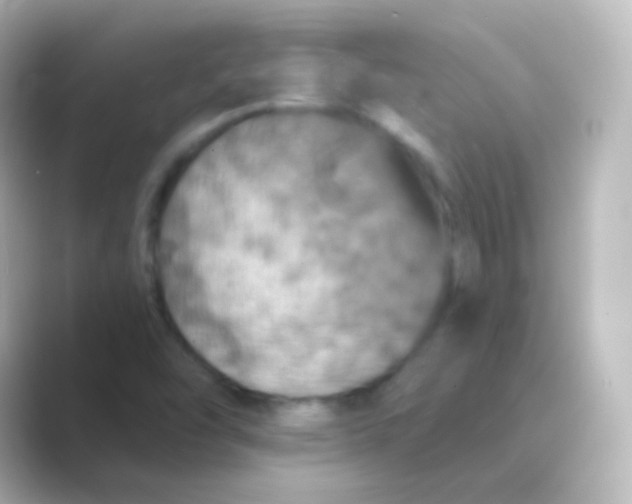 X0000088691454200706211918
