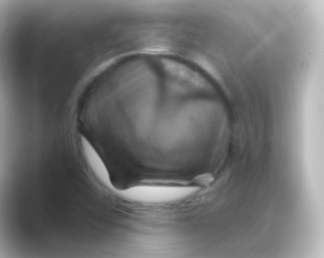 X0000088691456200706211918