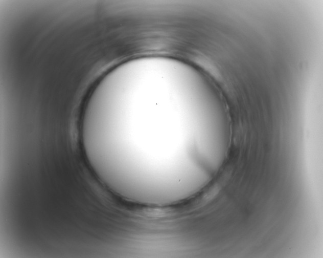 X0000088691458200706211918