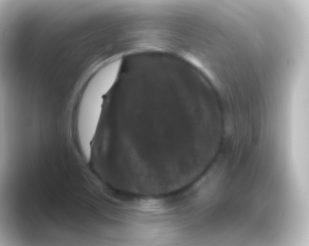 X0000088691459200706211918