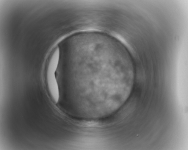 X0000088691460200706211918