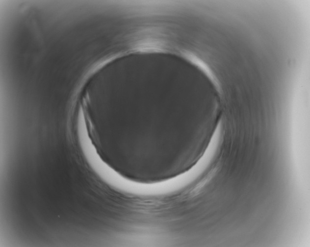 X0000088691461200706211918