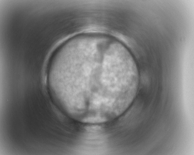 X0000088691462200706211918