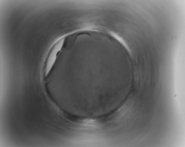X0000088691463200706211918