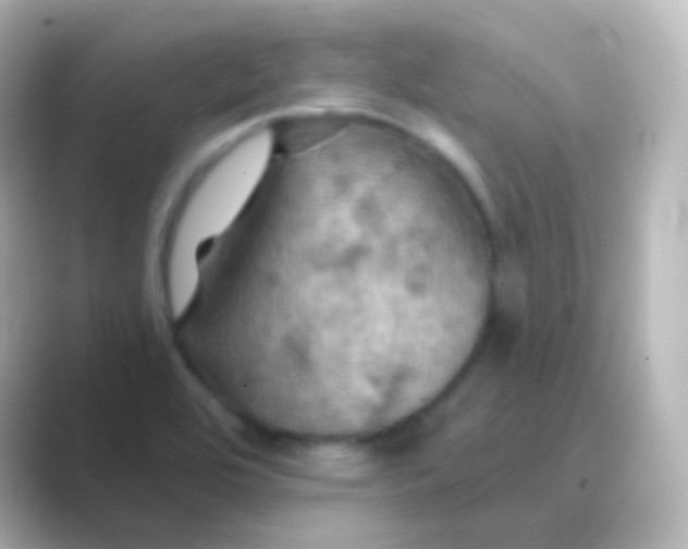 X0000088691464200706211918