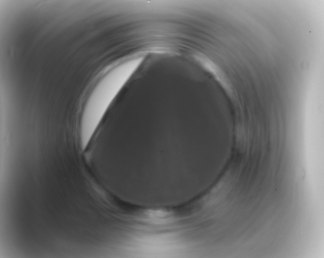 X0000088691465200706211918