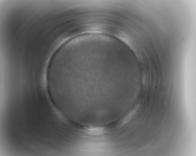 X0000088691466200706211918