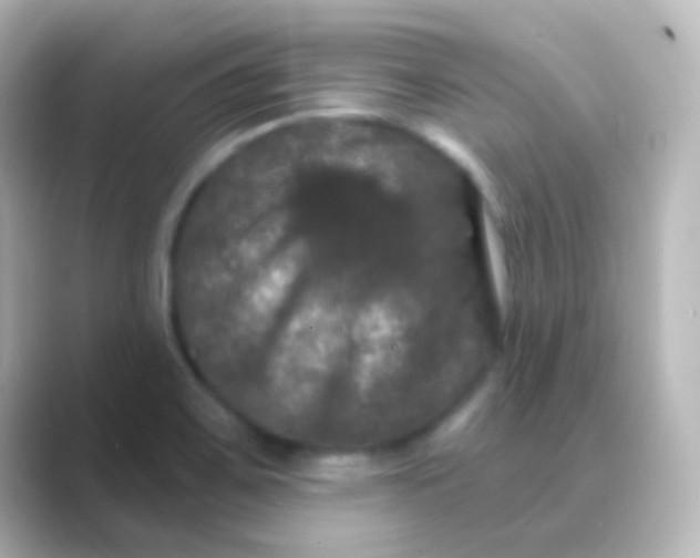 X0000088691467200706211918