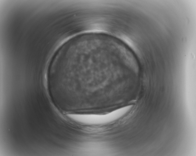 X0000088691468200706211918