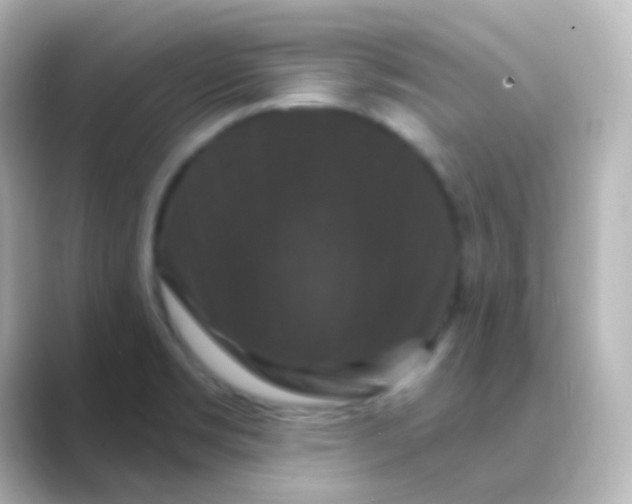 X0000088691469200706211918