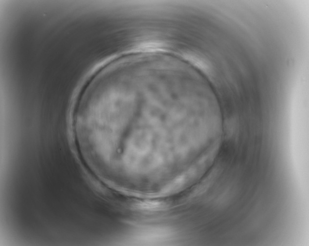 X0000088691470200706211918