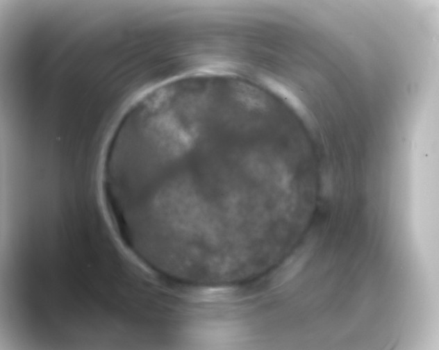 X0000088691471200706211918