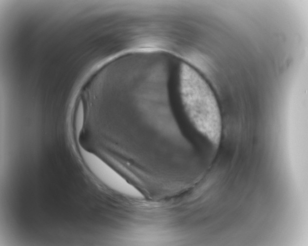 X0000088691472200706211918
