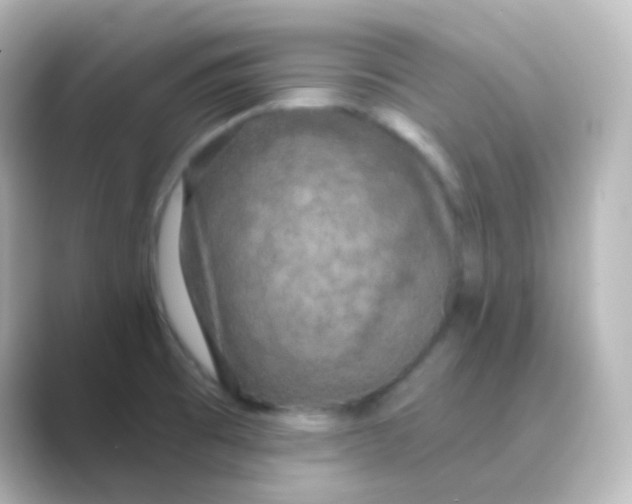 X0000088691473200706211918