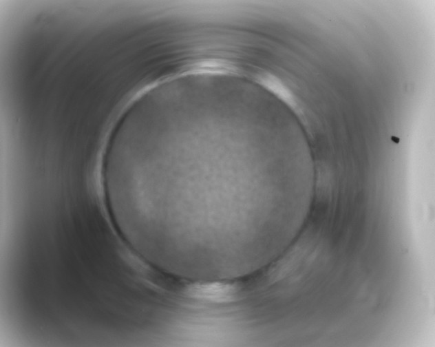 X0000088691474200706211918