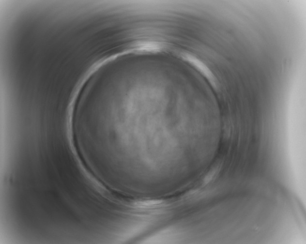 X0000088691475200706211918