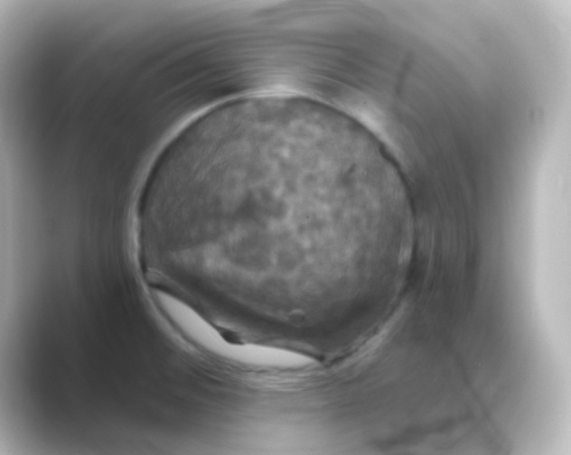 X0000088691476200706211918