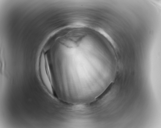 X0000088691477200706211918