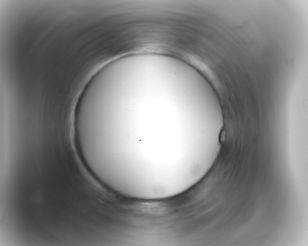 X0000088691479200706211918