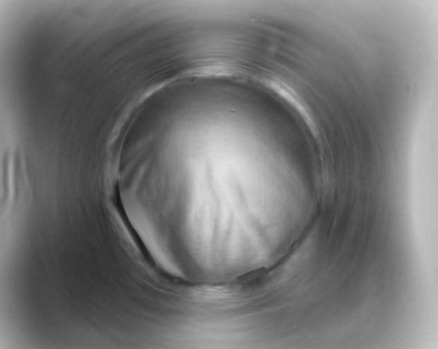 X0000088691481200706211918