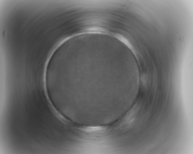 X0000088691482200706211918