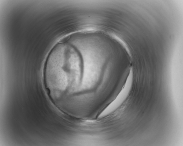 X0000088691483200706211918