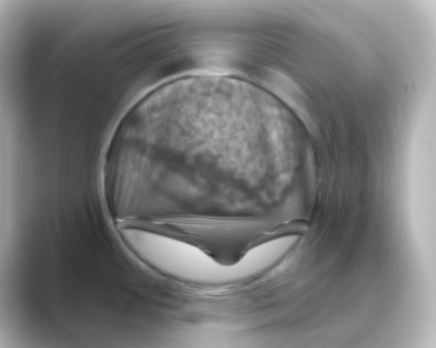 X0000088691484200706211918