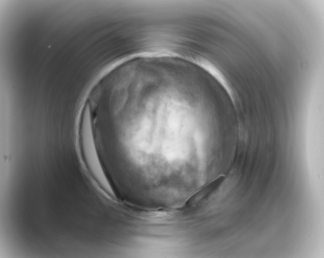 X0000088691485200706211918