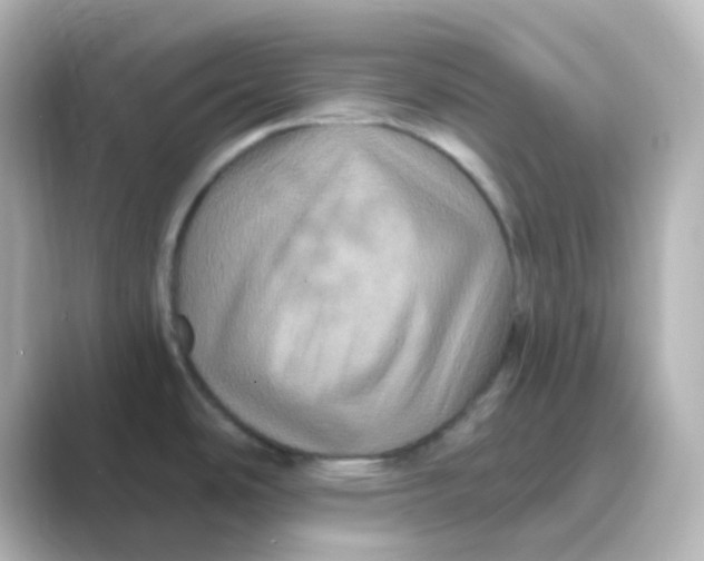 X0000088691486200706211918