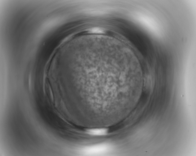 X0000088691487200706211918
