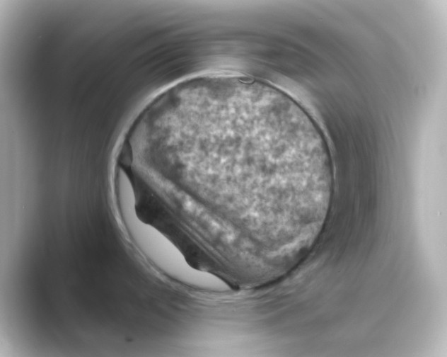 X0000088691488200706211918