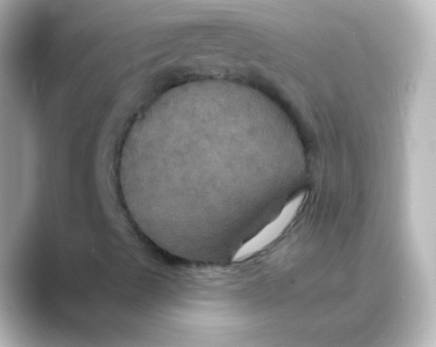 X0000088691489200706211917