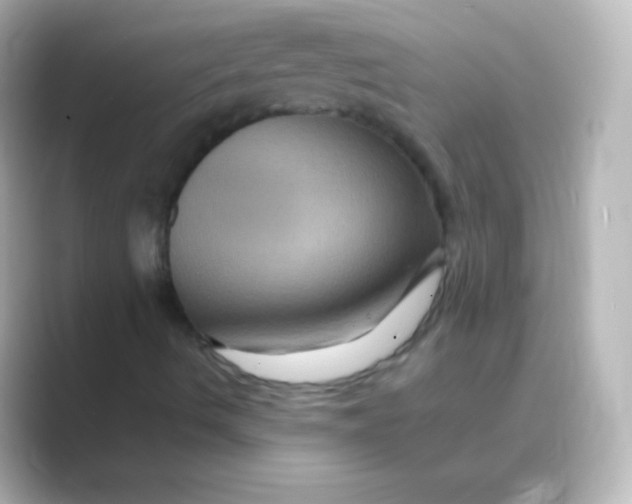 X0000088691490200706211917